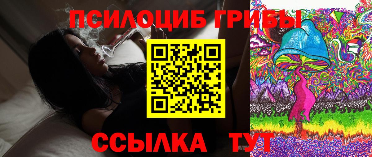 Псилоцибиновые грибы GOLDEN TEACHER  Вход с VPN  Новозыбков  Галлюциногенные грибы ЛСД 