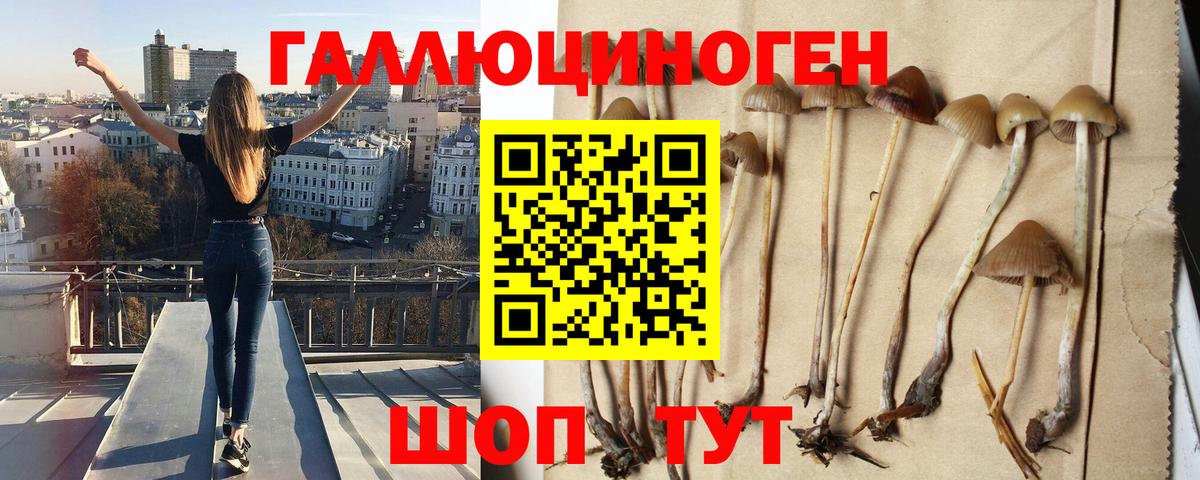 Галлюциногенные грибы ЛСД Новозыбков